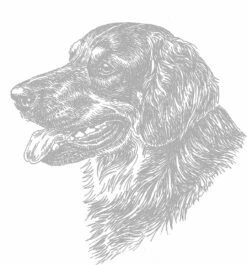 Aufkleber 15 Cm Hovawart S/m, Profil