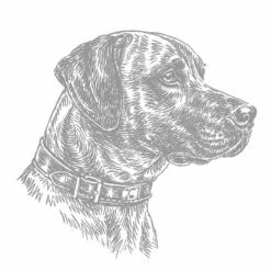 Aufkleber 15 Cm Rhodesian Ridgeback