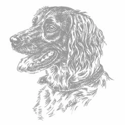 Aufkleber 15 Cm Kl. Münsterländer