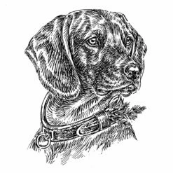 Aufkleber 15 Cm Bayer.-Ge.-Schweißh.