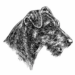 Aufkleber 15 Cm Dt. Jagdterrier