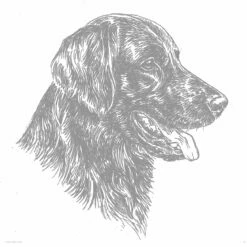 Aufkleber 15 Cm Flat Coated Retr.