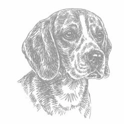 Aufkleber 15 Cm Beagle