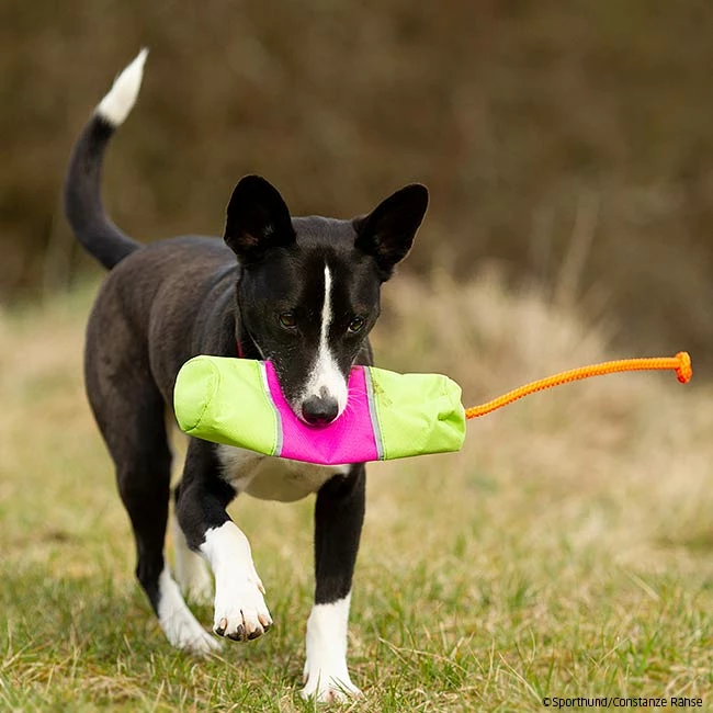 Mystique Futterdummy Snack Large – Bild 2