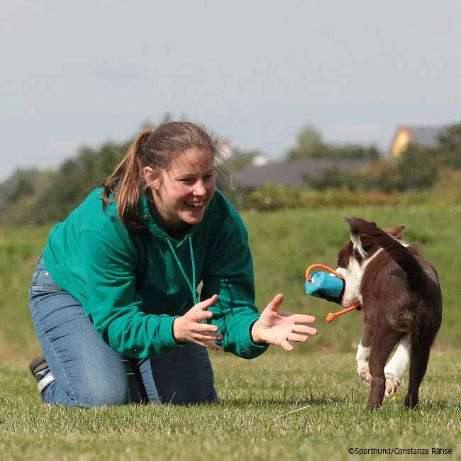 Mystique Futterdummy Snack Large – Bild 4