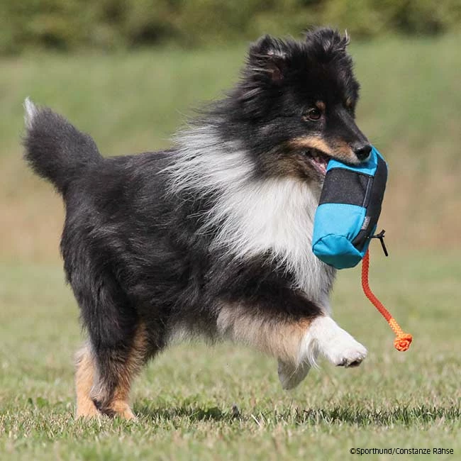 Mystique Futterdummy Snack Large – Bild 3