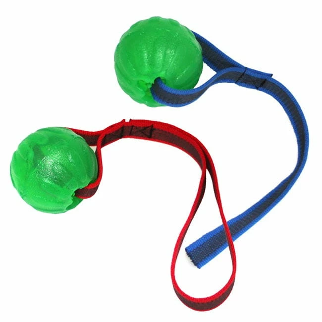 Treat Dispensing Chew Ball M. Gummiertem Nylonband â Bild 2