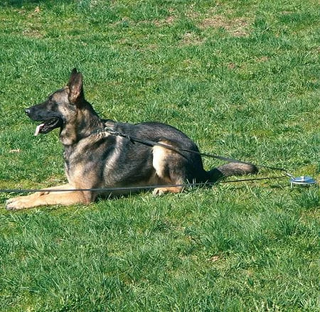 Sprenger Auslauf-Block â Bild 3