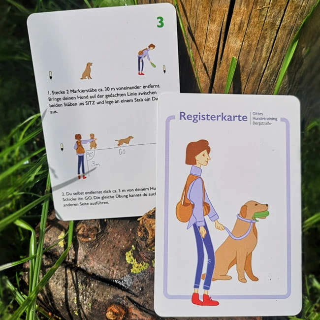 Trainingskartenset Dummytraining â Bild 4