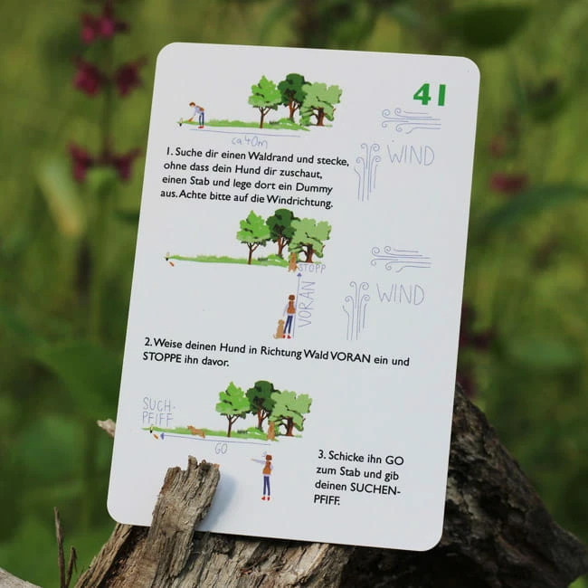 Trainingskartenset Dummytraining â Bild 3