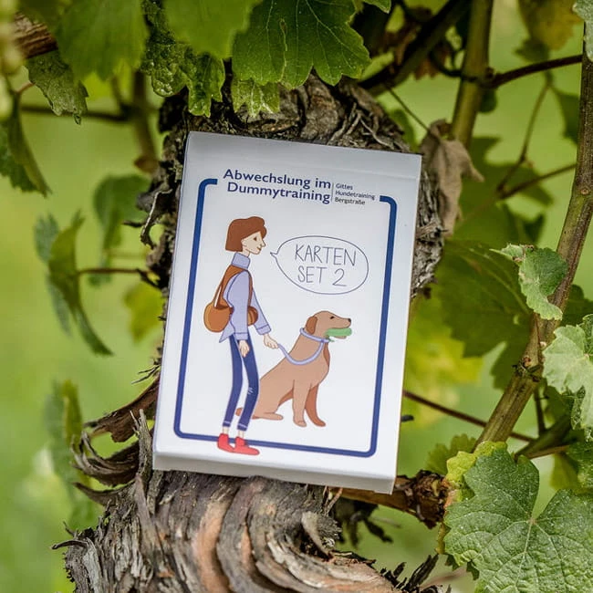 Trainingskartenset Dummytraining â Bild 2